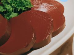 -汤城·料青山