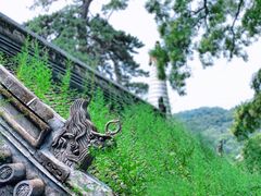 -潭柘寺景区