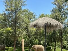 -北京野生动物园