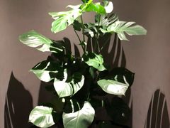 -满堂匠心川宴·私房菜(天府三街店)