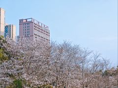 -堤角公园