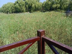 -望湖公园
