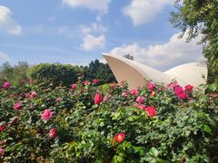 -人民公园(罗湖区)