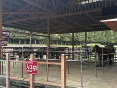 -新疆那拉提国家旅游度假区