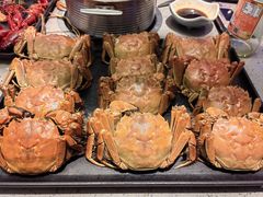 -乔哥铭洋海鲜自助(皇城恒隆广场店)