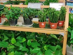 -旺中旺生活超市(洪都店)