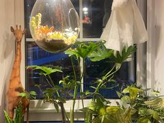 -懒人盐府人家·自贡大麻鱼(安贞店)