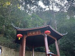 -黄埔油麻山森林公园