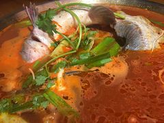-新凯里酸汤鱼(飞山街店)