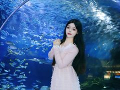 -海合安武汉极地海洋公园