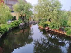 -上海财经大学(国定路校区)