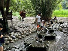 -成都市活水公园