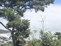 -崂山仰口游览区