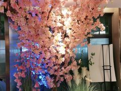 -野妹火锅(龙岗店)
