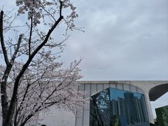 -龙美术馆(西岸馆)