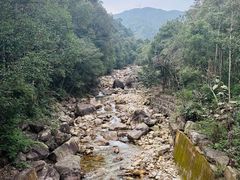 -姑婆山旅游区