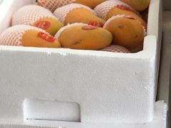 -小团圆糖水铺(襄阳南路店)