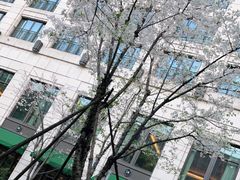 -杭州城中香格里拉大酒店
