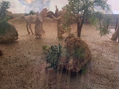 -成都杜甫草堂博物馆