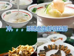 -飞尝蚝·顺德菜·鱼生(顺德总店)