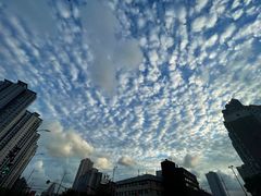 -陆家嘴世纪金融广场