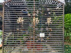 -广州神农草堂中医药博物馆