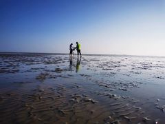 -南汇嘴观海公园