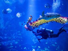 -太平洋海底世界