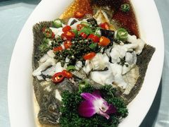 花椒炝多宝鱼-湖锦酒楼·32年地道湖北菜(光谷店)