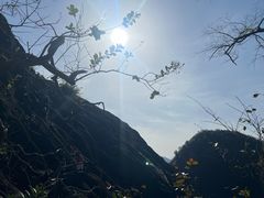 -武夷山风景名胜区-玉女峰