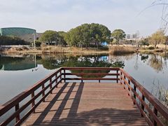 -新江湾城公园