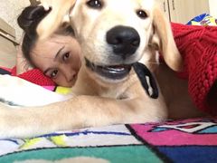 -米苏动物医院·犬猫专科·骨科外科内窥镜