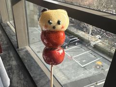 -羲和雅苑•北京烤鸭(平安国际金融中心店)