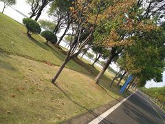 -漕湖湿地公园