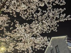 -杭州君悦酒店·湖滨28中餐厅