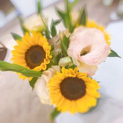 -UP&UP·半永久眉毛眼线机器野生眉