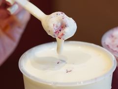 -奈雪的茶(赛格店)