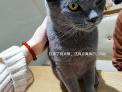 -藏猫猫咖啡主题馆(中央大道店)