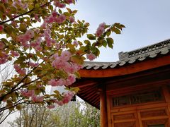 -中国中医科学院望京医院(院本部)