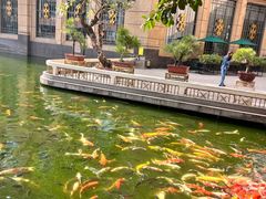 -番禺宾馆丽苑厅