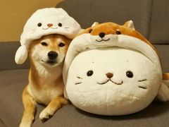 -自贡好吃客(科华店)