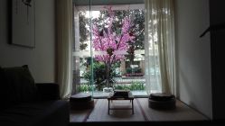 -榕树上·瑜伽普拉提