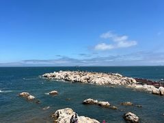 -养马岛旅游度假区