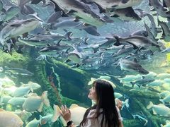 -哈尔滨波塞冬海底世界