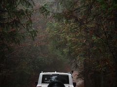 -武陵山森林公园