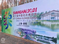 -东平国家森林公园
