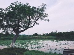 -良渚古城遗址公园