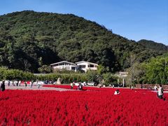 -广州市石门国家森林公园