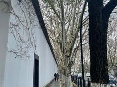 -中国美术学院-美术馆