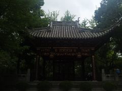 -汇龙潭